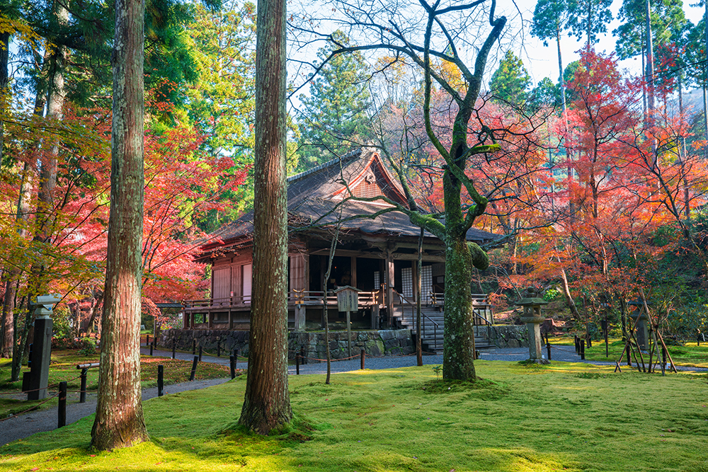 京都を「歩く」～大原三千院・鞍馬寺・貴船神社・上賀茂神社・下鴨神社・吉田神社と東寺～