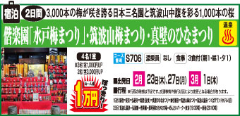 茨城２大梅まつり画像
