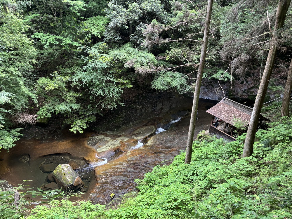 上から見た龍鎮神社