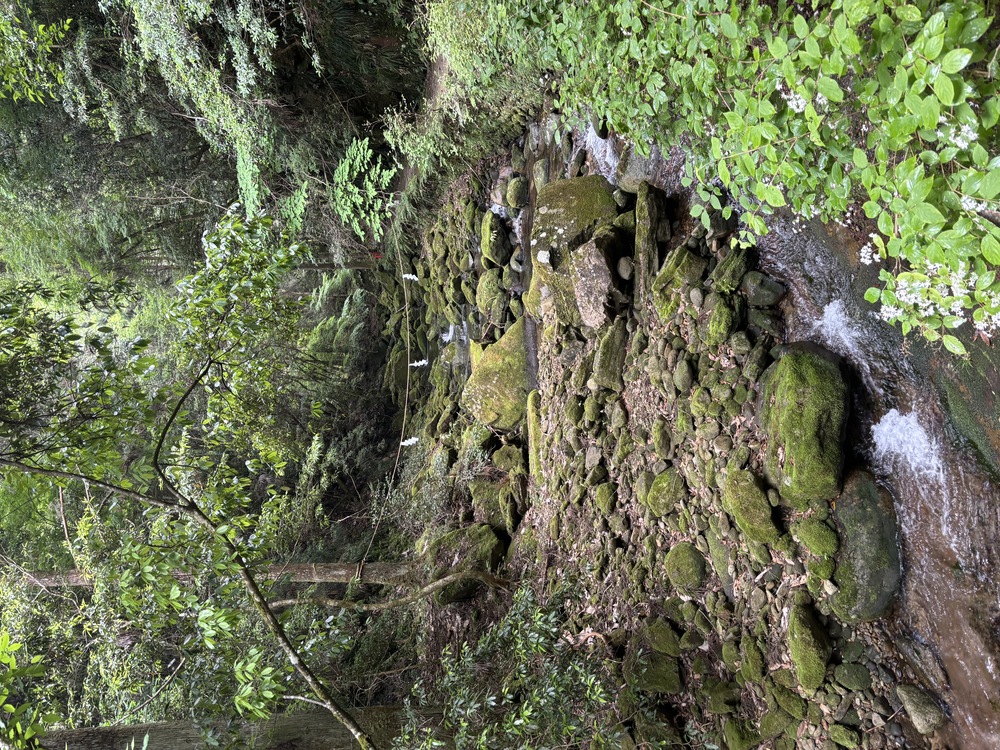 龍鎮神社の様子