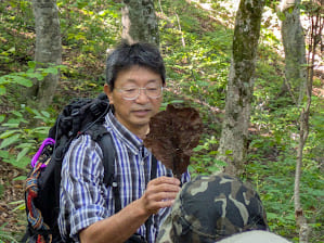 白神山地ガイドさんによる解説