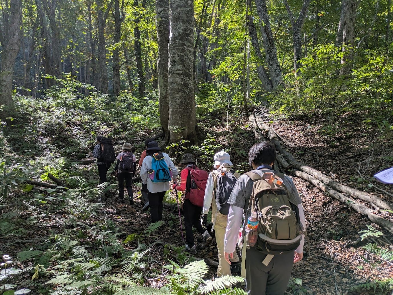 マタギ道へ踏み込む