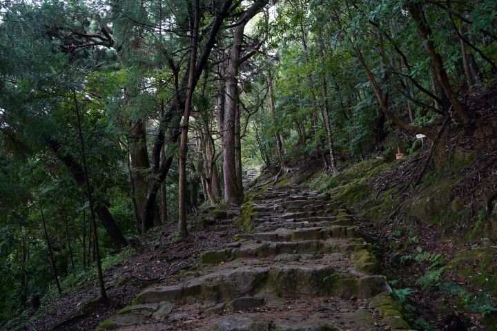 神倉神社の参道