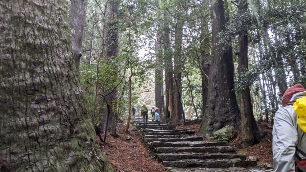 雨の大門坂