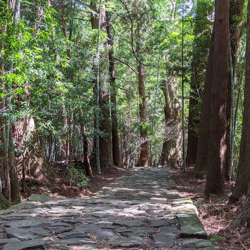 古道の雰囲気を味わう大門坂