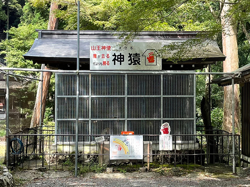 日吉大社　神猿舎