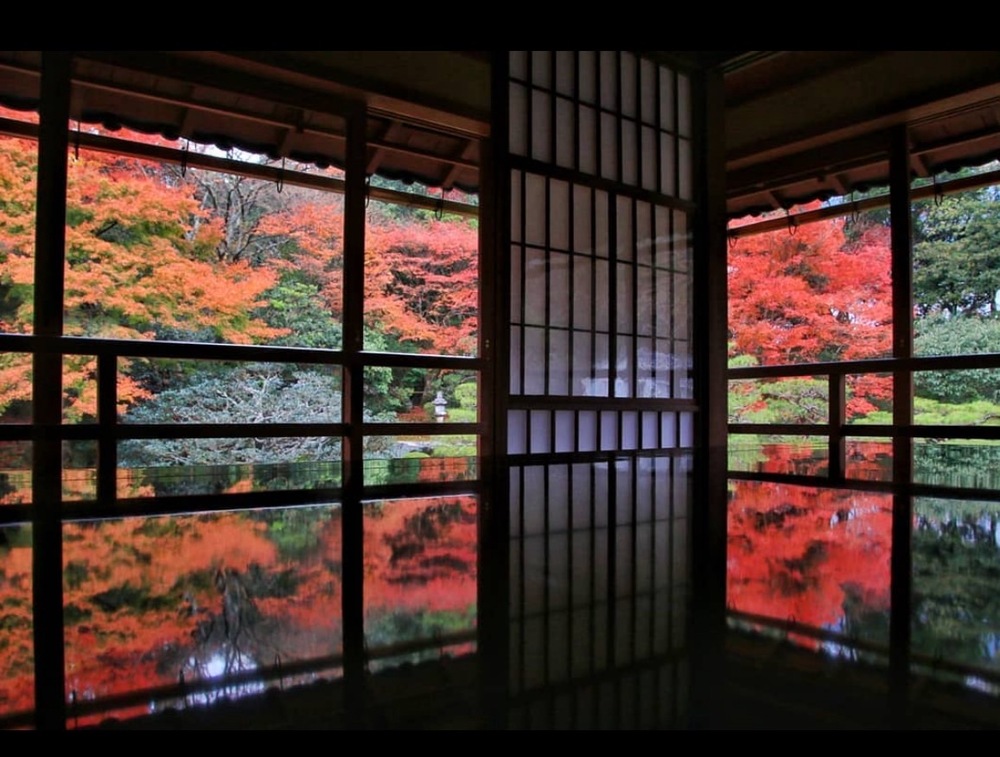 旧竹林院　紅葉