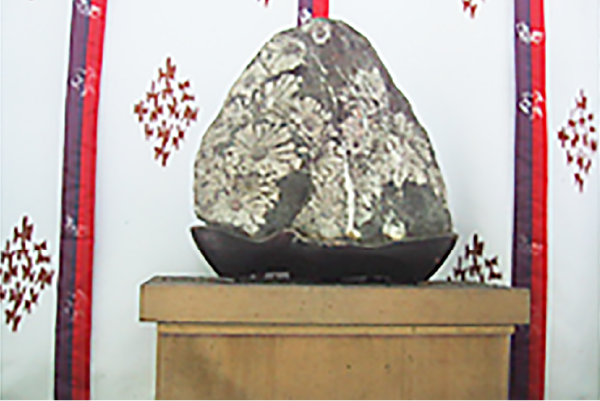 建部大社　菊花石