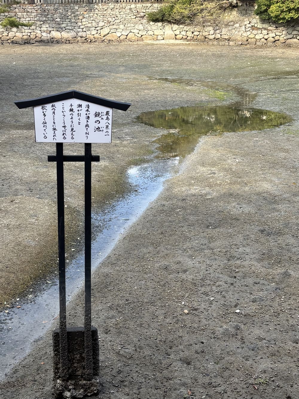 厳島神社　鏡池