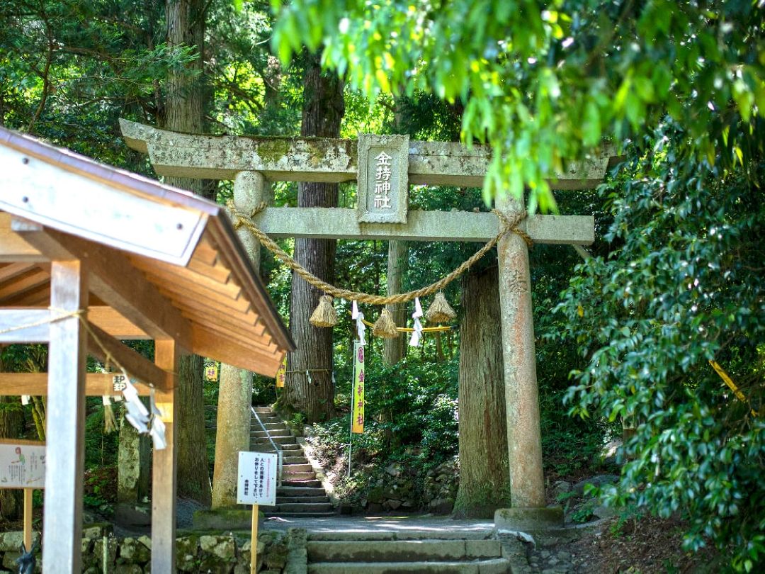 金持神社の鳥居