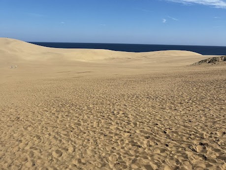 鳥取砂丘の砂の波