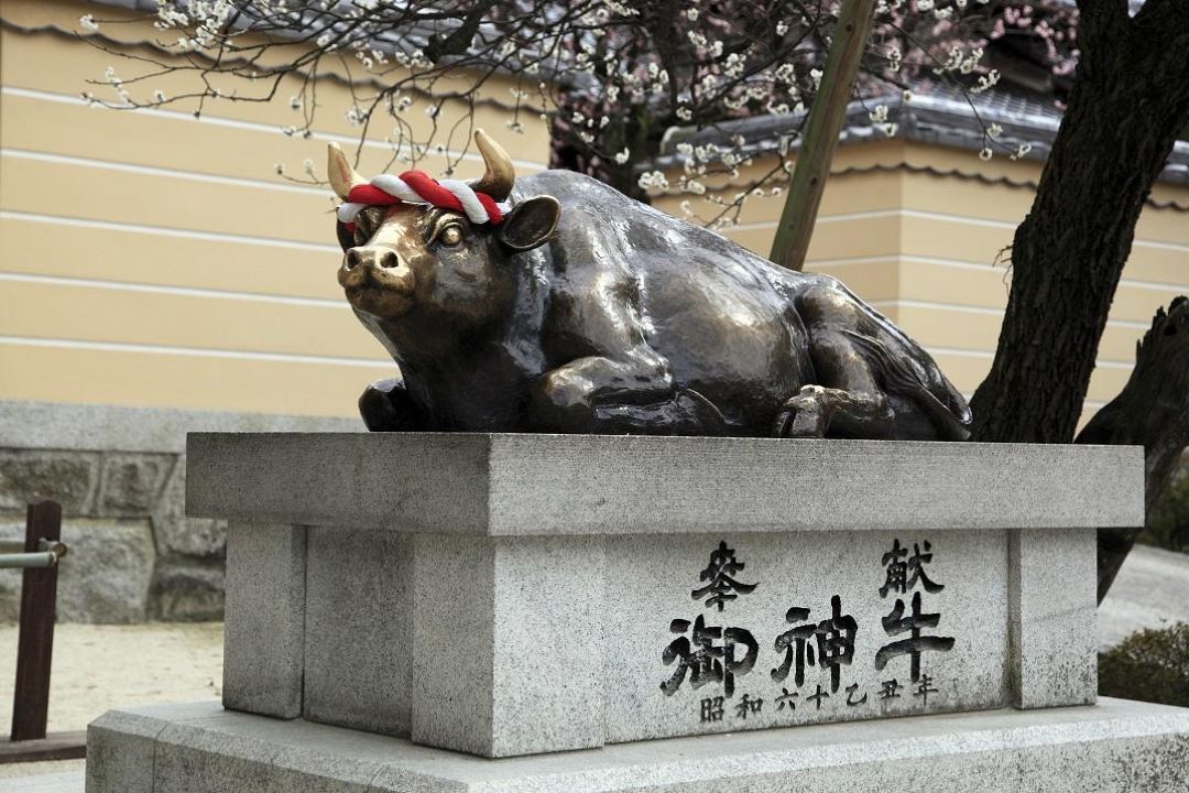 太宰府天満宮 御神牛