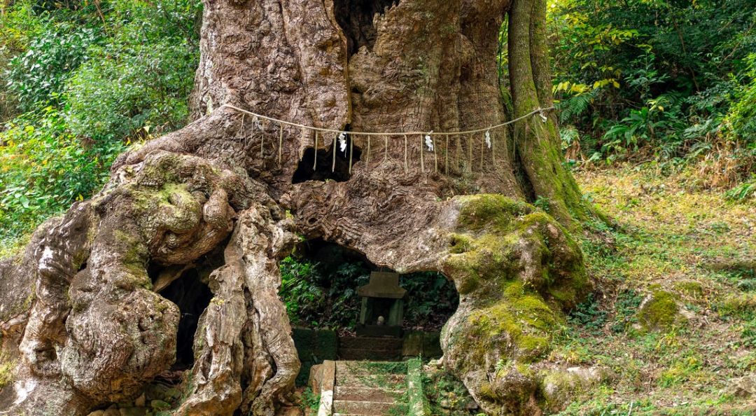 武雄神社