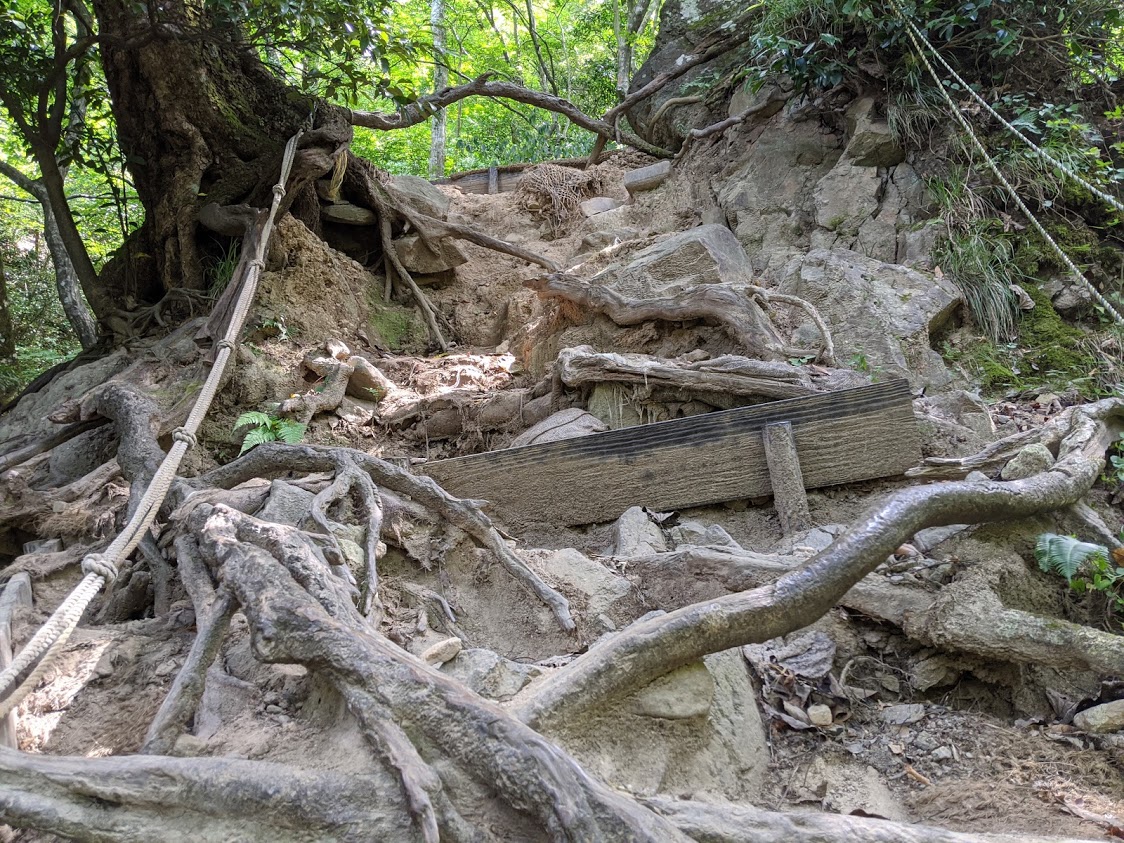 伯耆大山と三徳山投入堂　宿泊ツアーのおすすめポイント詳細