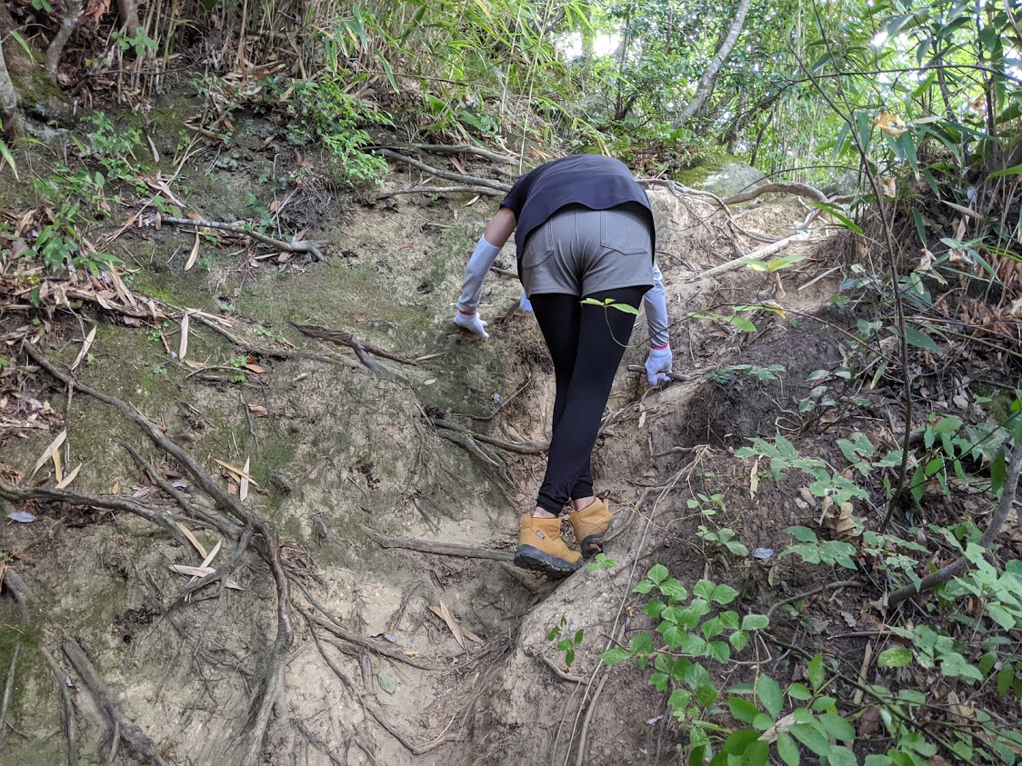 伯耆大山と三徳山投入堂　宿泊ツアーのおすすめポイント詳細