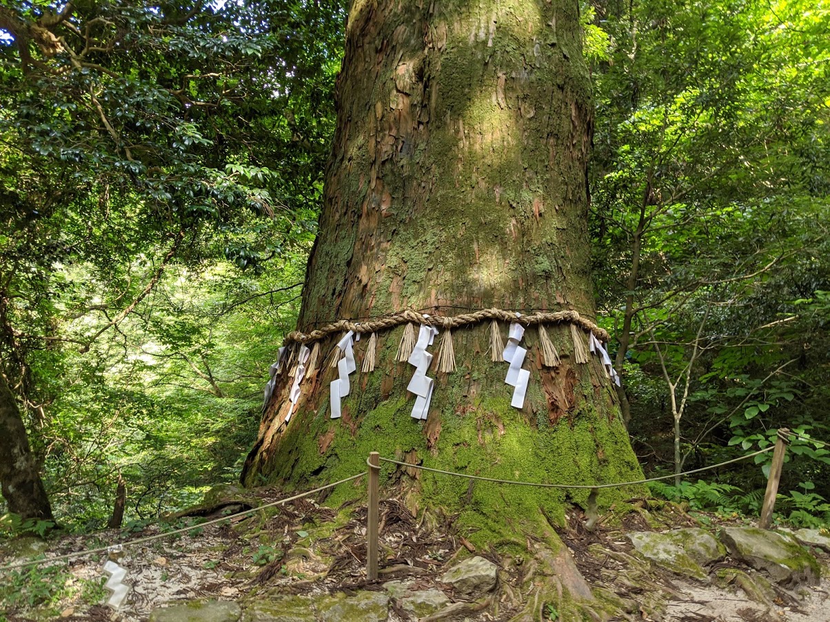 伯耆大山と三徳山投入堂　宿泊ツアーのおすすめポイント詳細