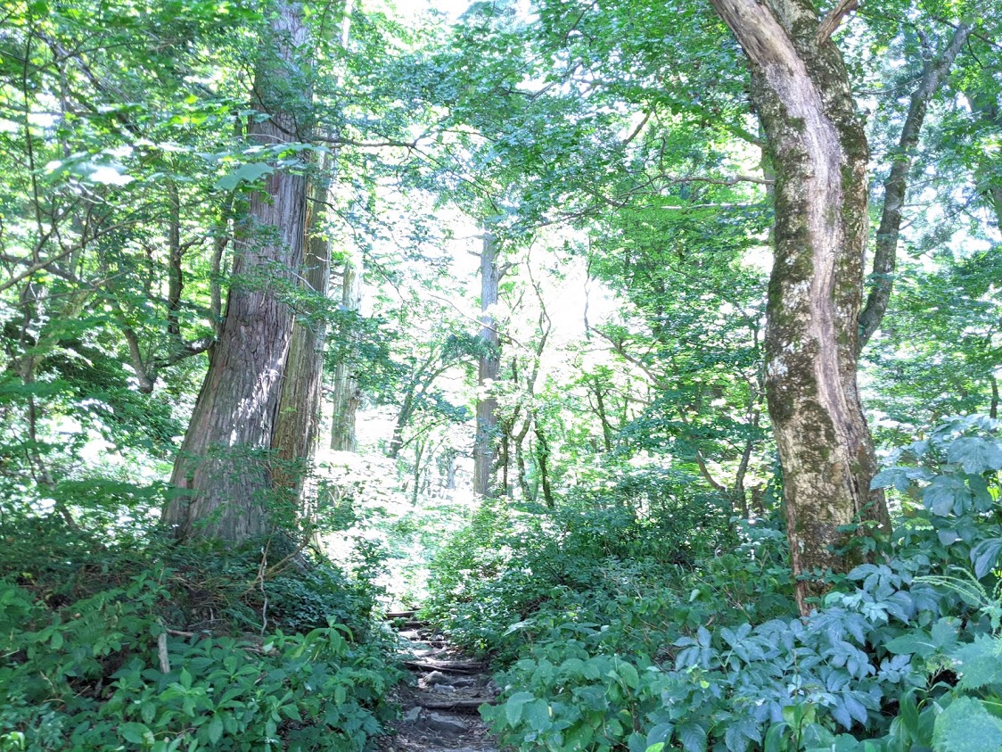 伯耆大山と三徳山投入堂　宿泊ツアーのおすすめポイント詳細