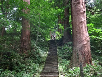 宿泊　出羽三山　生まれかわりの旅　三神社完全登拝コースのイメージ1