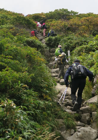 宿泊　出羽三山　生まれかわりの旅　三神社完全登拝コースのイメージ1