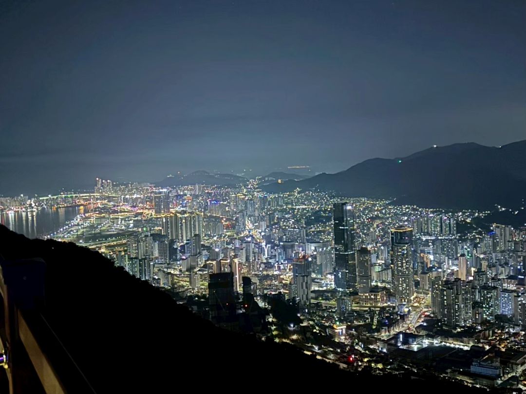 荒嶺山夜景