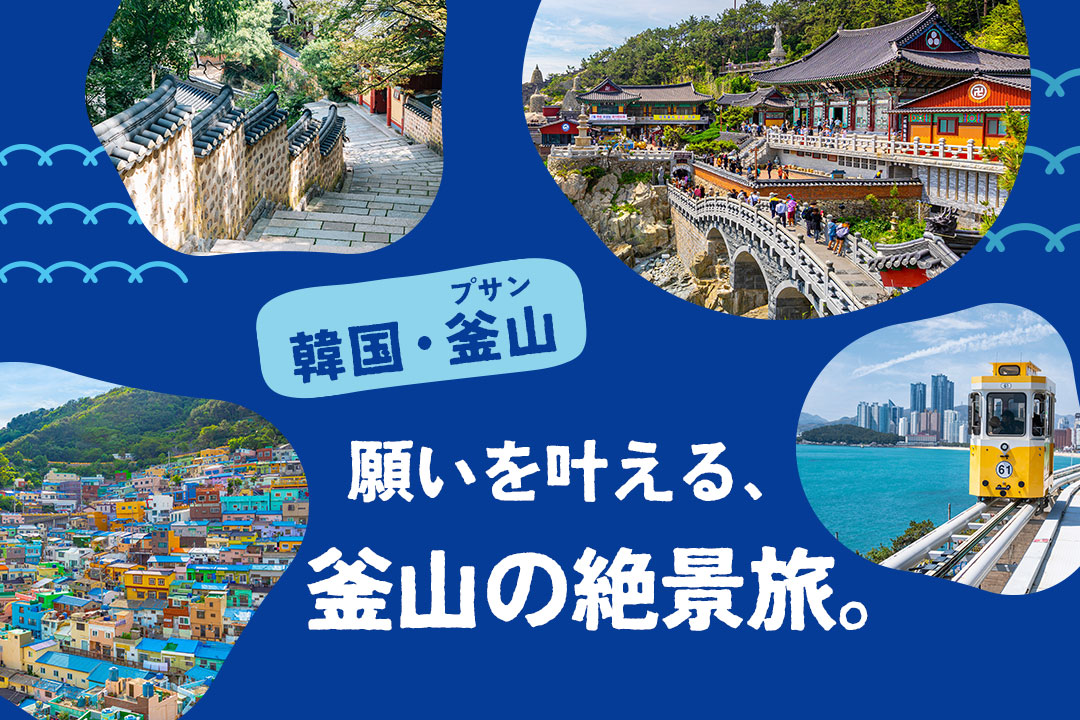 釜山パワースポットと寺院巡りツアー