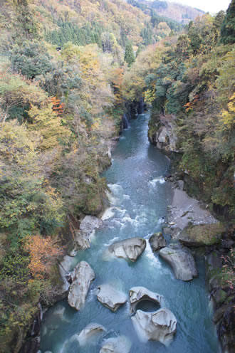 白山三馬場ツアーのイメージ1