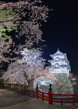 弘前城の桜と平泉中尊寺ツアー 宿泊バスツアー