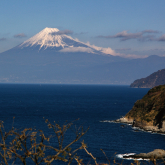 伊豆半島の人気スポット周遊|伊勢海老バスツアーのおすすめポイント