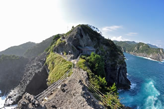 伊豆半島バスツアー|伊勢海老夕食付きのおすすめポイント