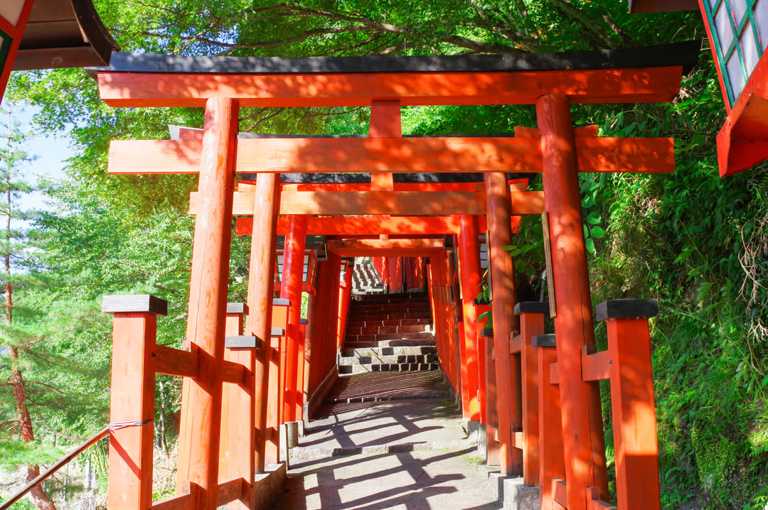 太鼓谷稲荷神社の千本鳥居