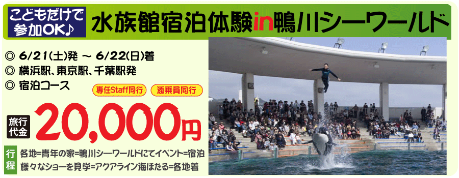 子供だけで行く！水族館宿泊体験in鴨川シーワールド｜宿泊バスツアー