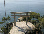 竹生島ツアーのレポート写真
