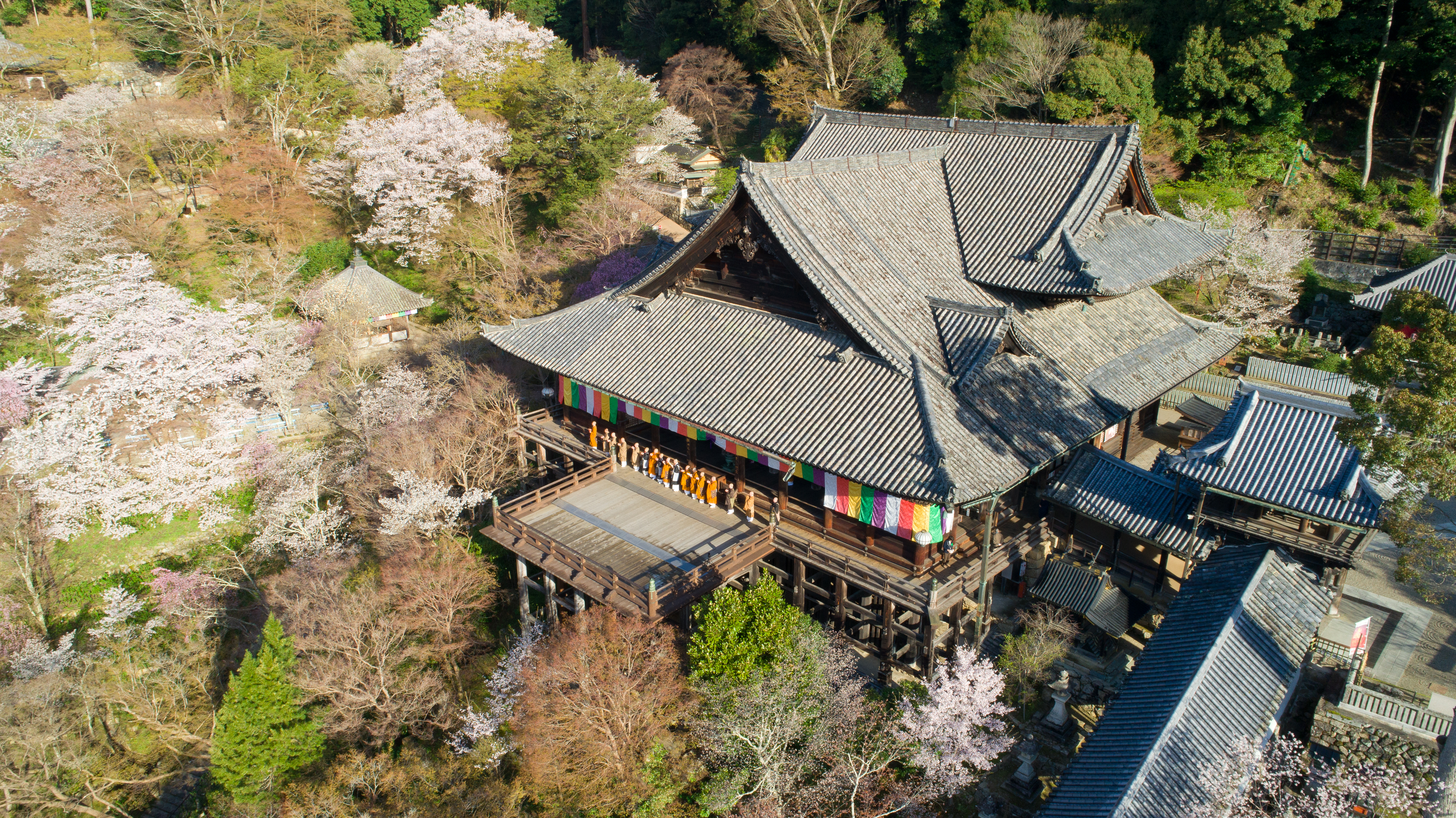 パワースポット奈良 大和四寺巡礼(長谷寺・室生寺・岡寺・安倍文殊院)と談山神社参拝　宿泊バスツアーのおすすめポイント詳細