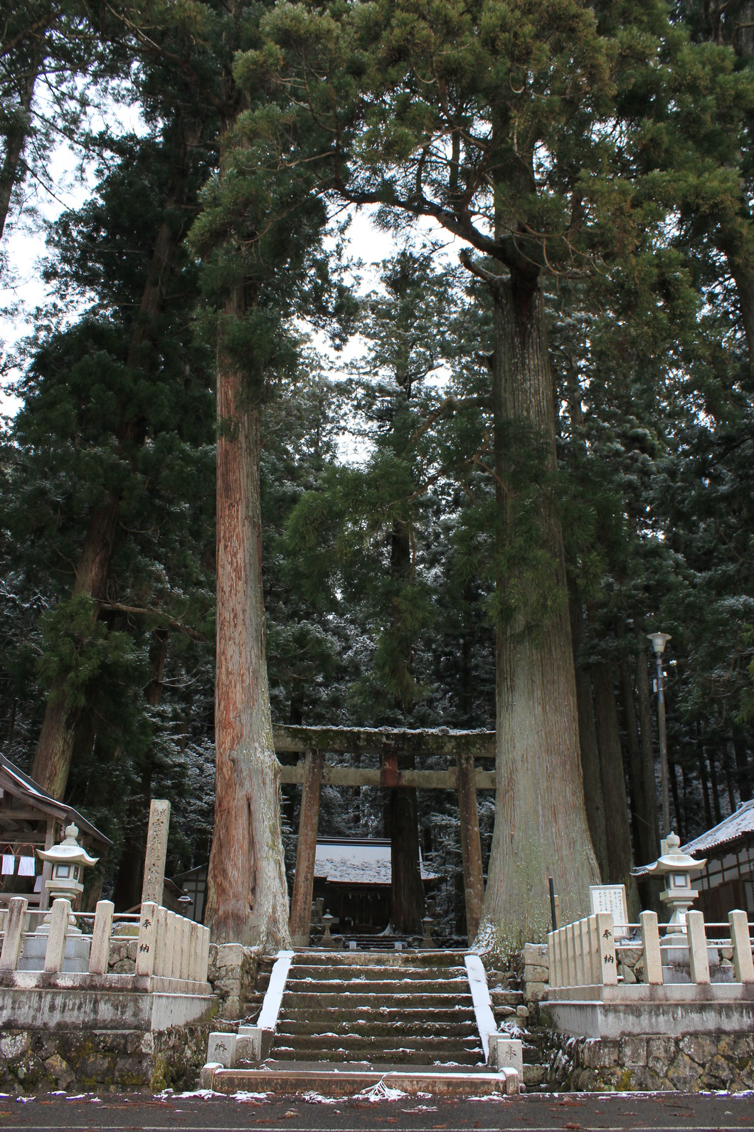 パワースポット奈良 大和四寺巡礼(長谷寺・室生寺・岡寺・安倍文殊院)と談山神社参拝　宿泊バスツアーのおすすめポイント詳細