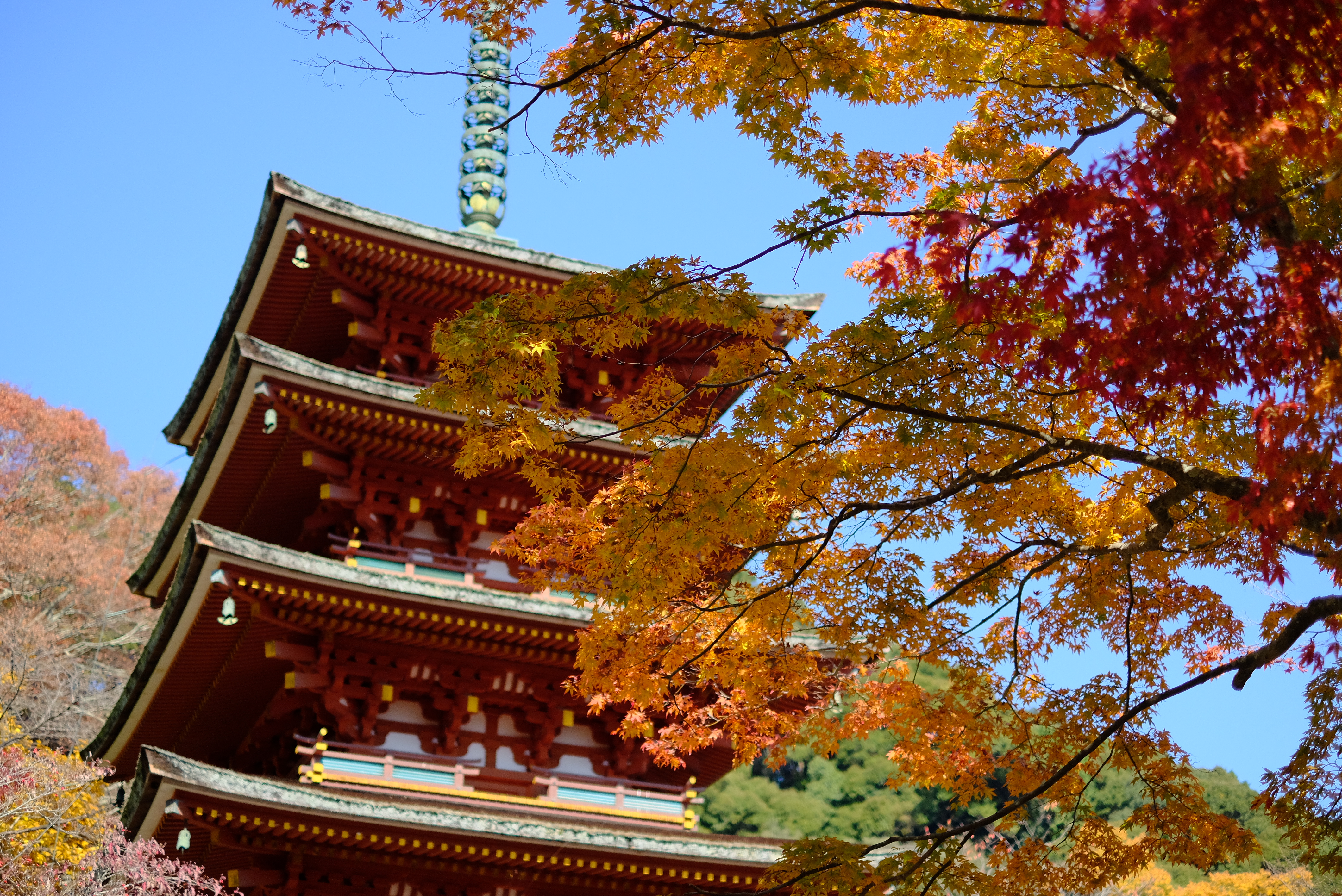 パワースポット奈良 大和四寺巡礼(長谷寺・室生寺・岡寺・安倍文殊院)と談山神社参拝　宿泊バスツアーのおすすめポイント詳細