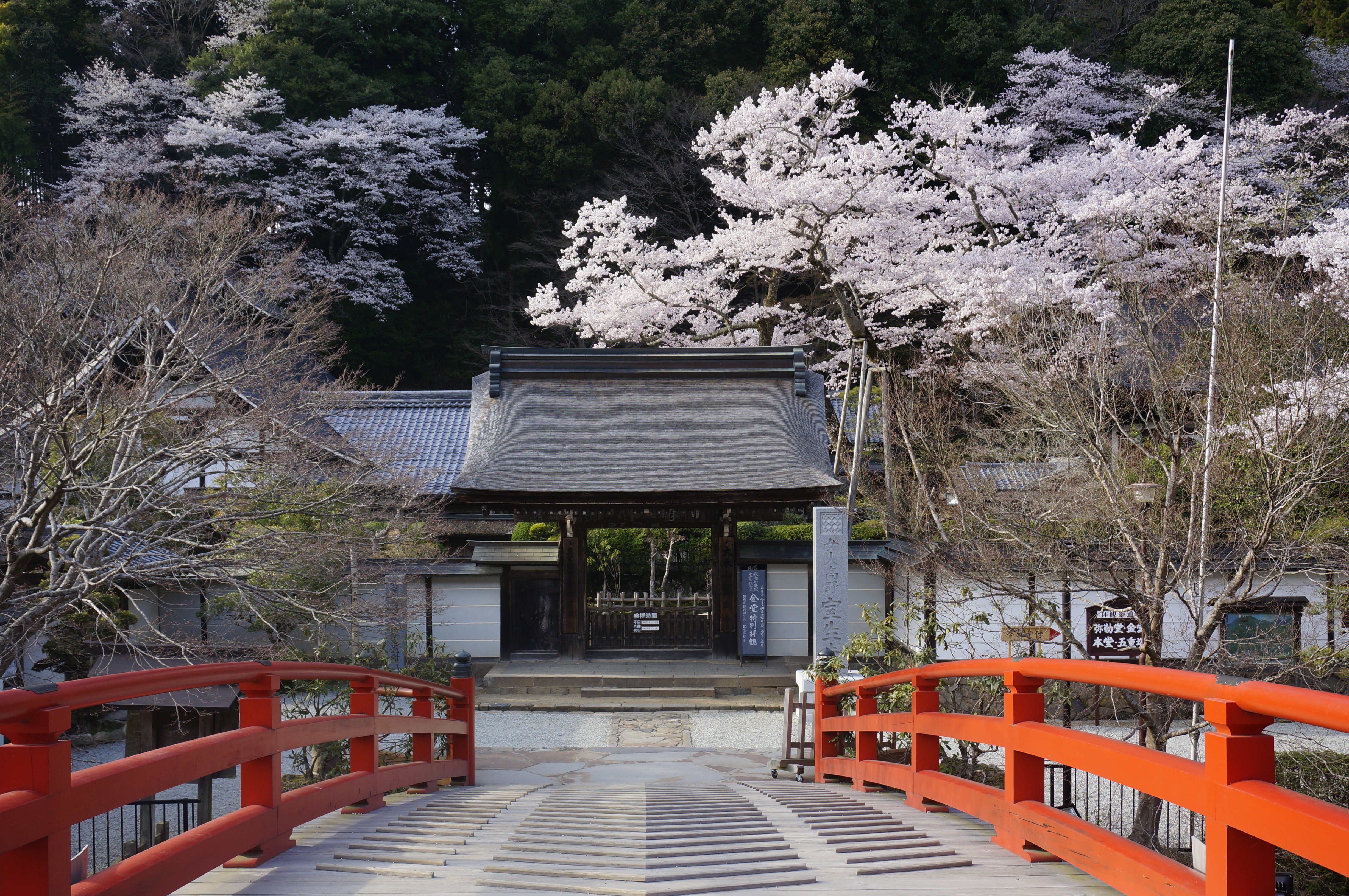 パワースポット奈良 大和四寺巡礼(長谷寺・室生寺・岡寺・安倍文殊院)と談山神社参拝　宿泊バスツアーのおすすめポイント詳細