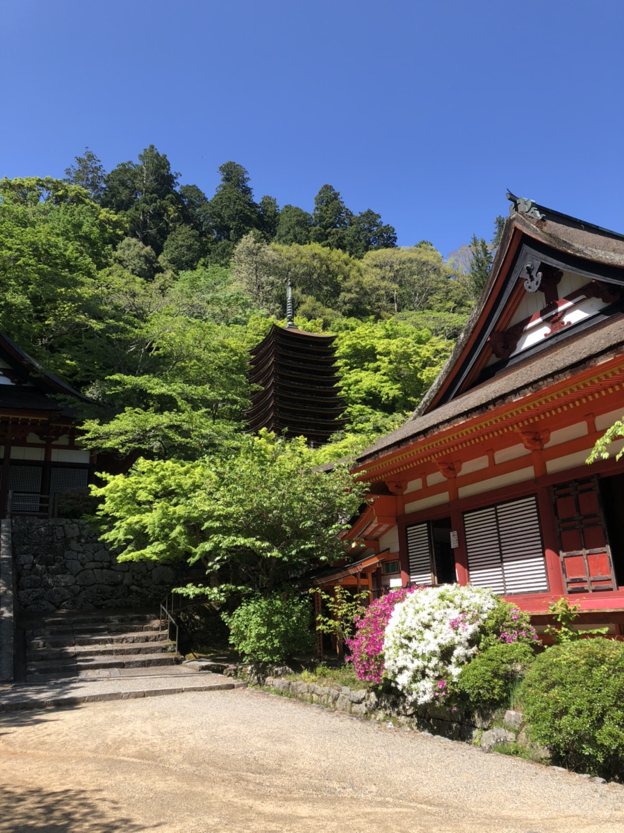 奈良 大和四寺巡礼(長谷寺・室生寺・岡寺・安倍文殊院)と談山神社参拝　宿泊バスツアーのイメージ