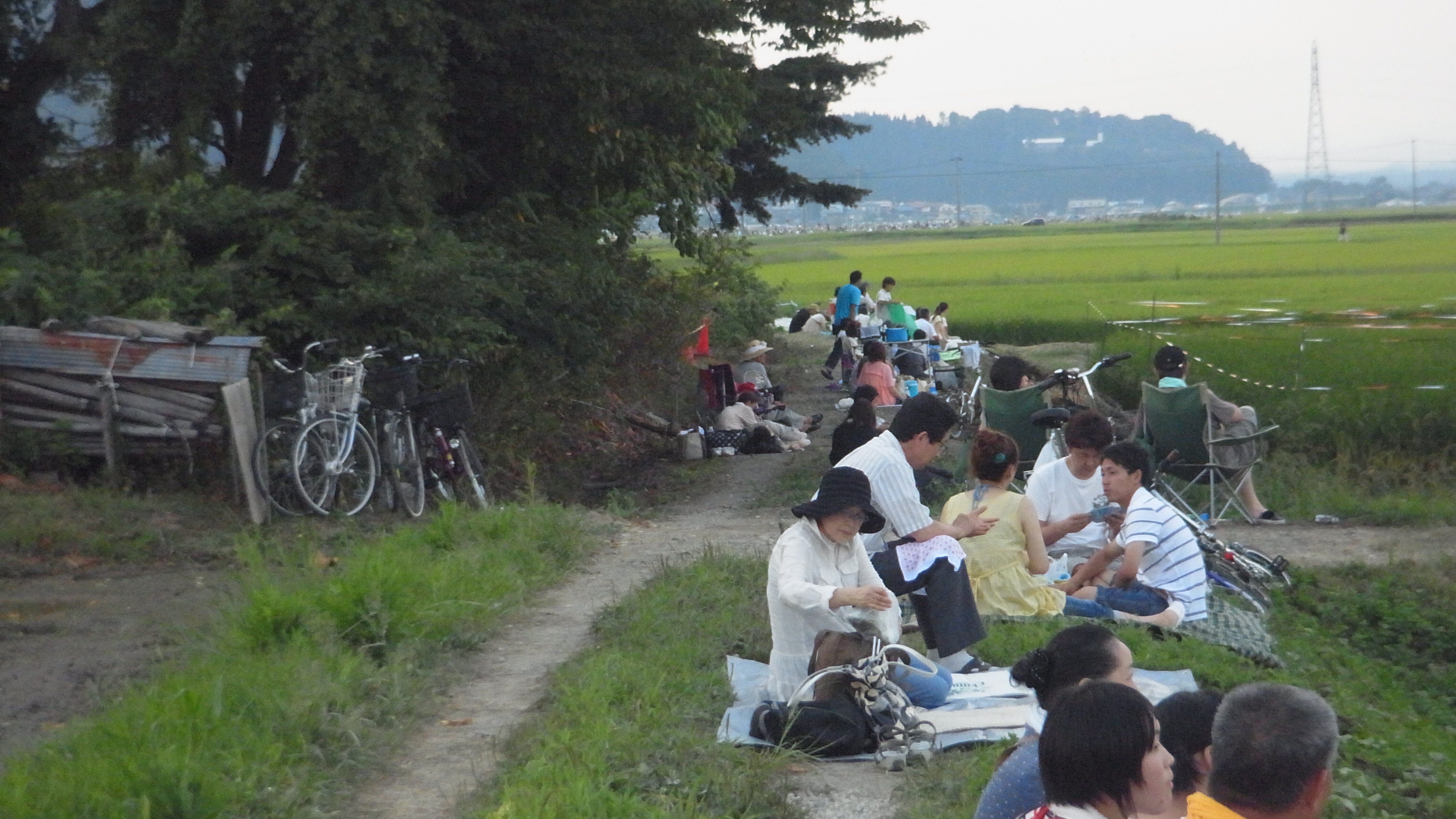 大曲花火（イメージ）