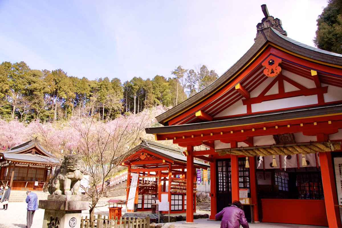 熱田神宮と尾張・三河国一宮をめぐる七社一寺参拝　宿泊バスツアーのおすすめポイント詳細