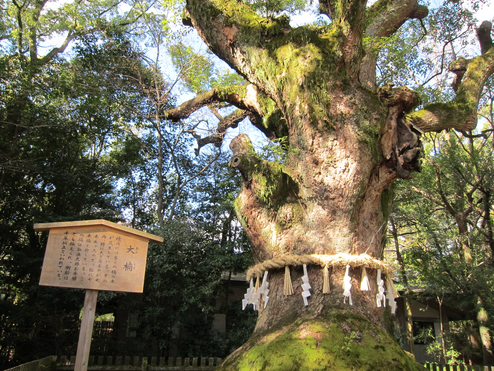 熱田神宮と尾張・三河国一宮をめぐる七社一寺参拝　宿泊バスツアーのイメージ