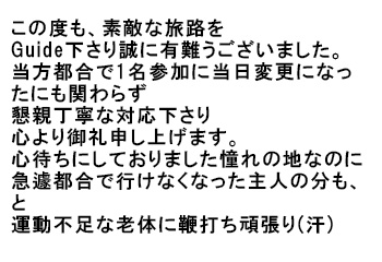 お客様からの感想