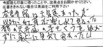 お客様からの感想