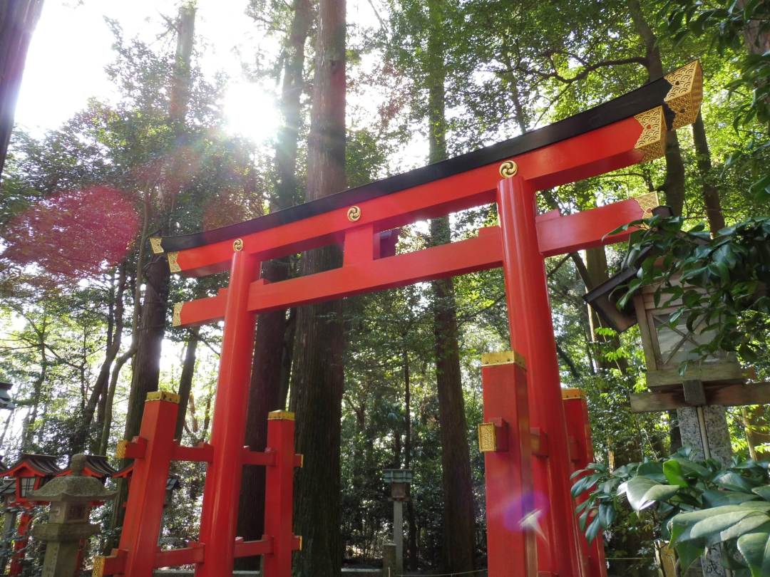 椿岸神社の鳥居