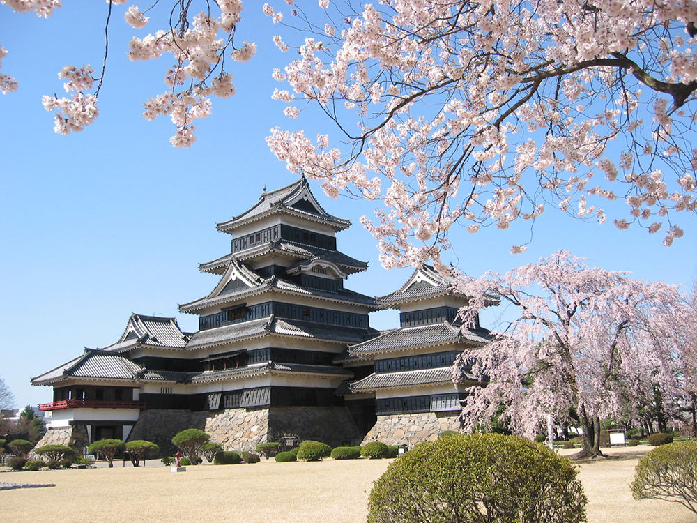 高遠桜＆高田城桜！桜の名所4ケ所巡り＆カニ食べ放題＆温泉でゆっくり1泊2日の旅