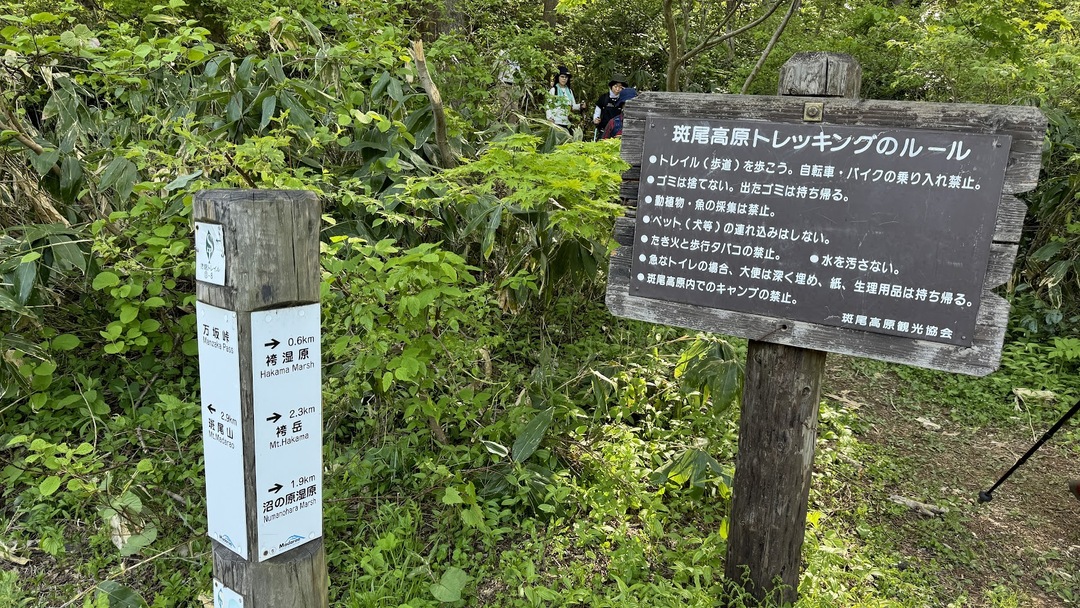 斑尾高原