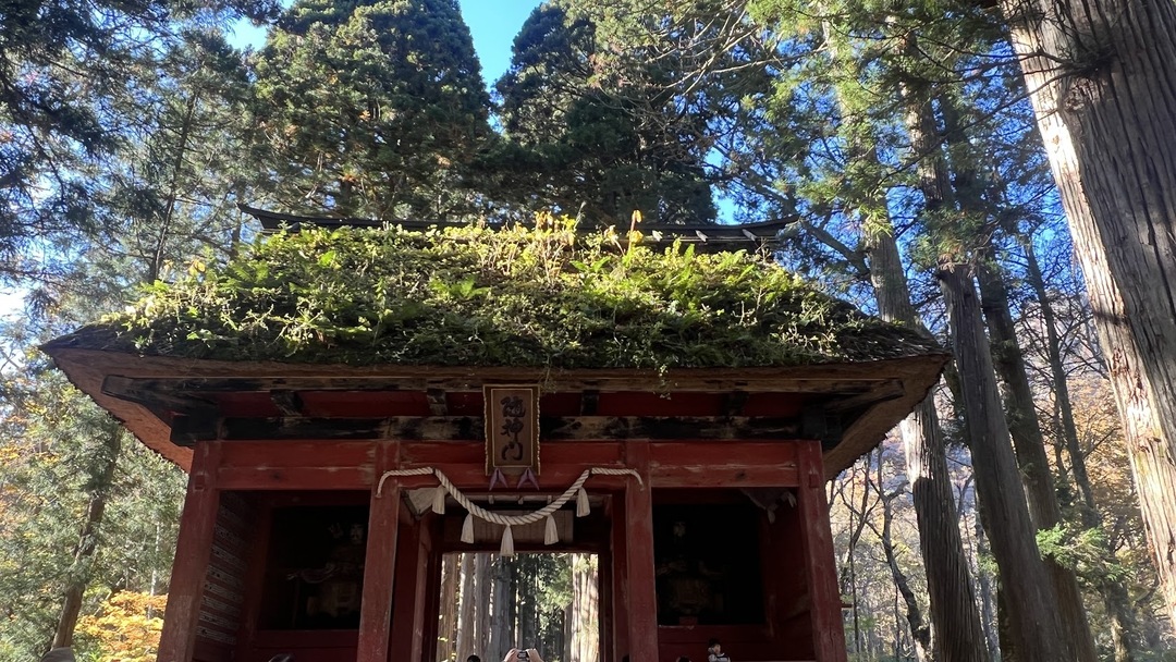 随身門