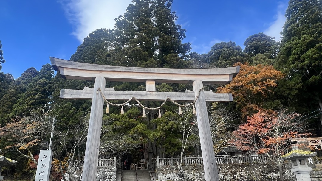 戸隠神社　中社