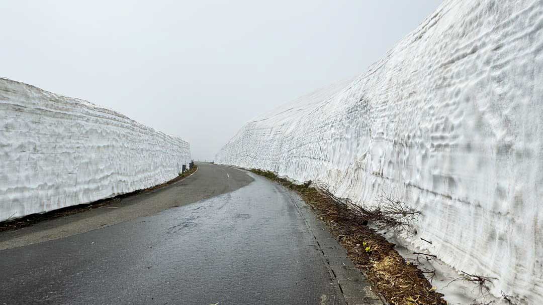 見返峠付近(5月)