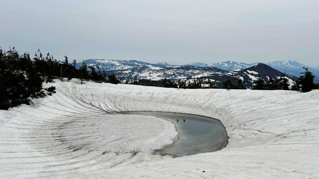 ドラゴンアイ 2025/5/10