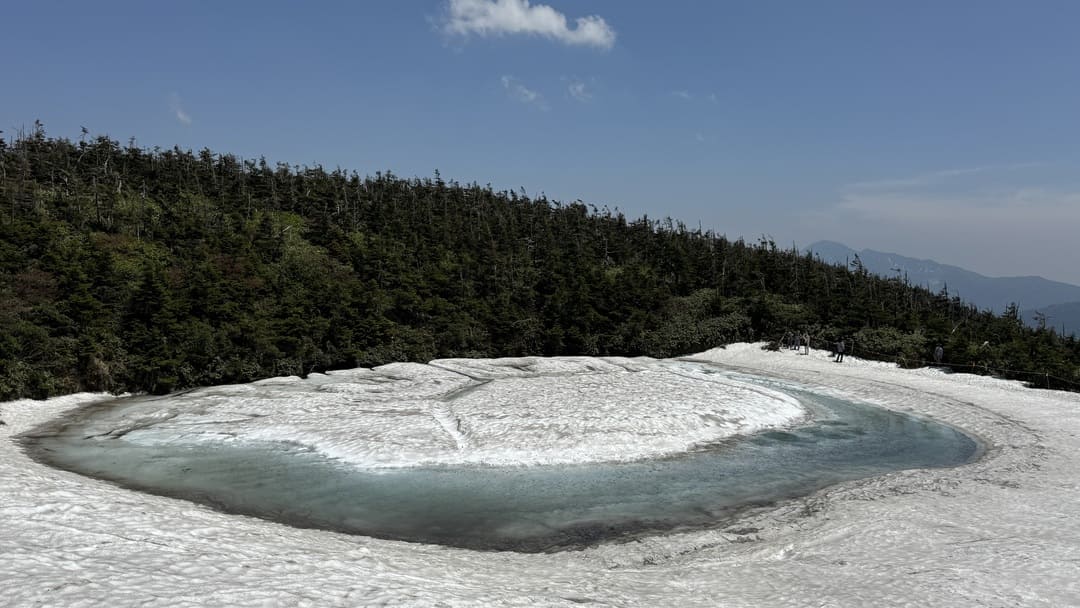 ドラゴンアイ 2025/5/10